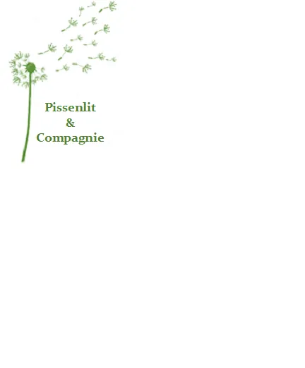 Logo Pissenlit & Compagnie